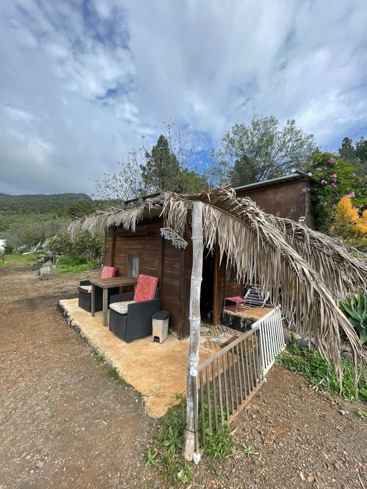 Bed and Breakfast Abracaribes Аресида Экстерьер фото