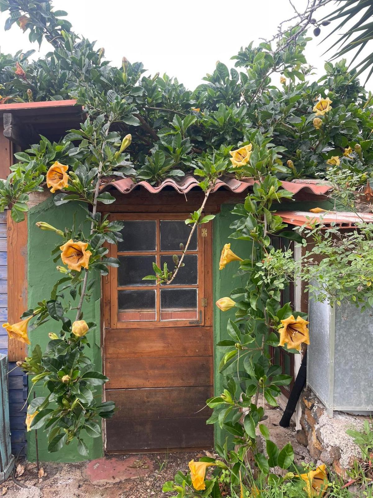 Bed and Breakfast Abracaribes Аресида Экстерьер фото