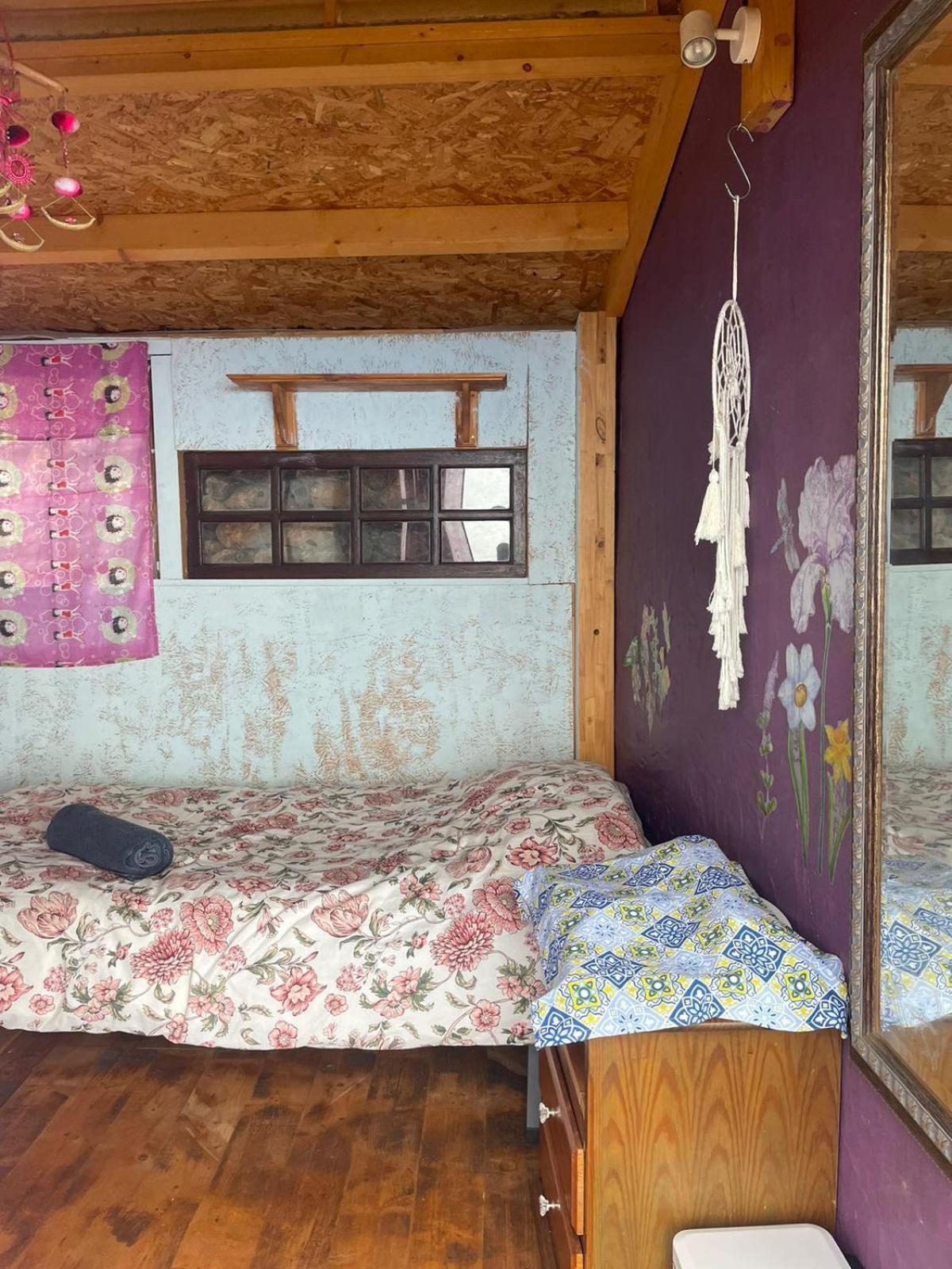 Bed and Breakfast Abracaribes Аресида Экстерьер фото